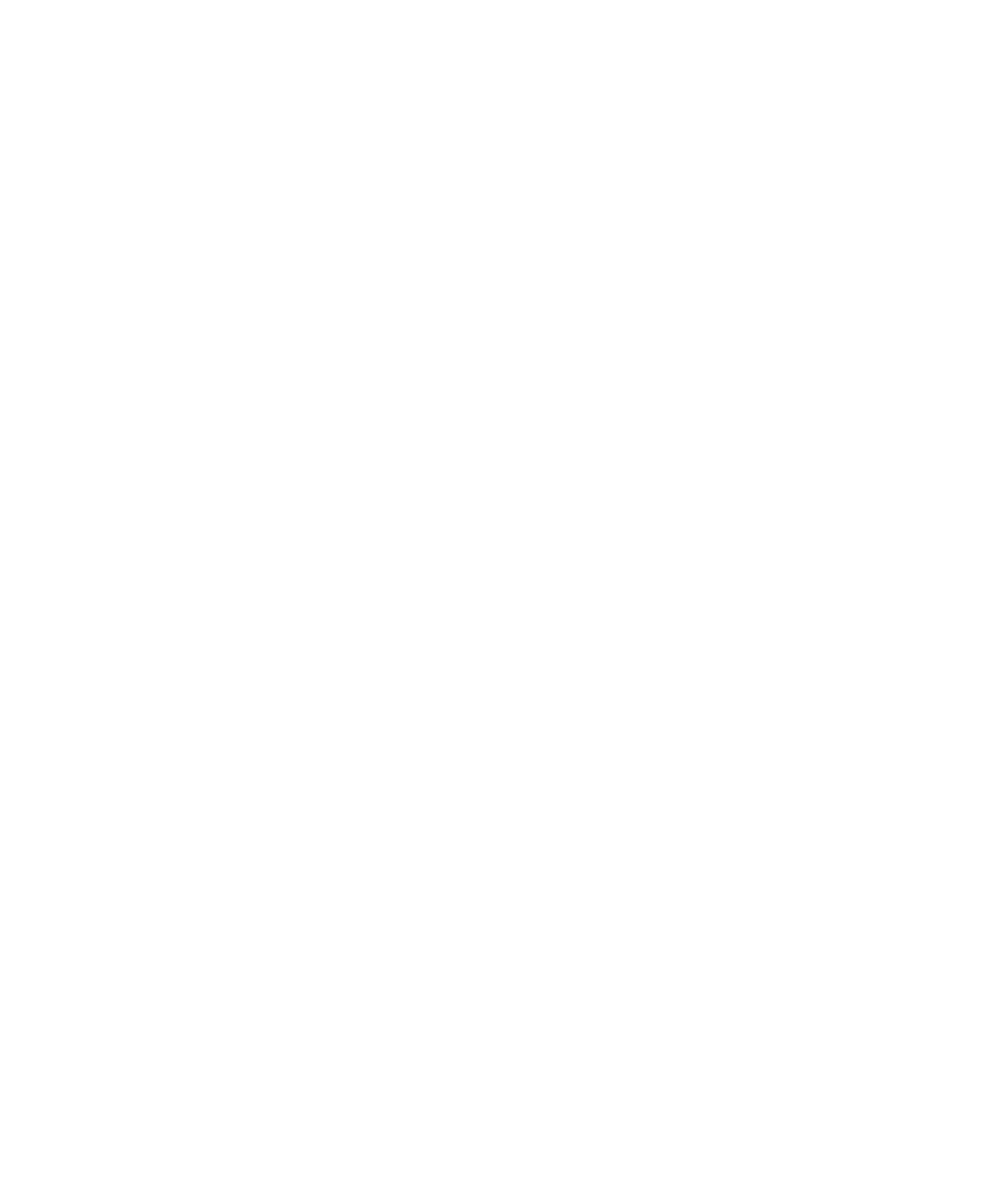 DJ Krinch King